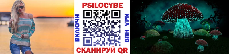 Галлюциногенные грибы мицелий  Купить закладки  Суздаль 